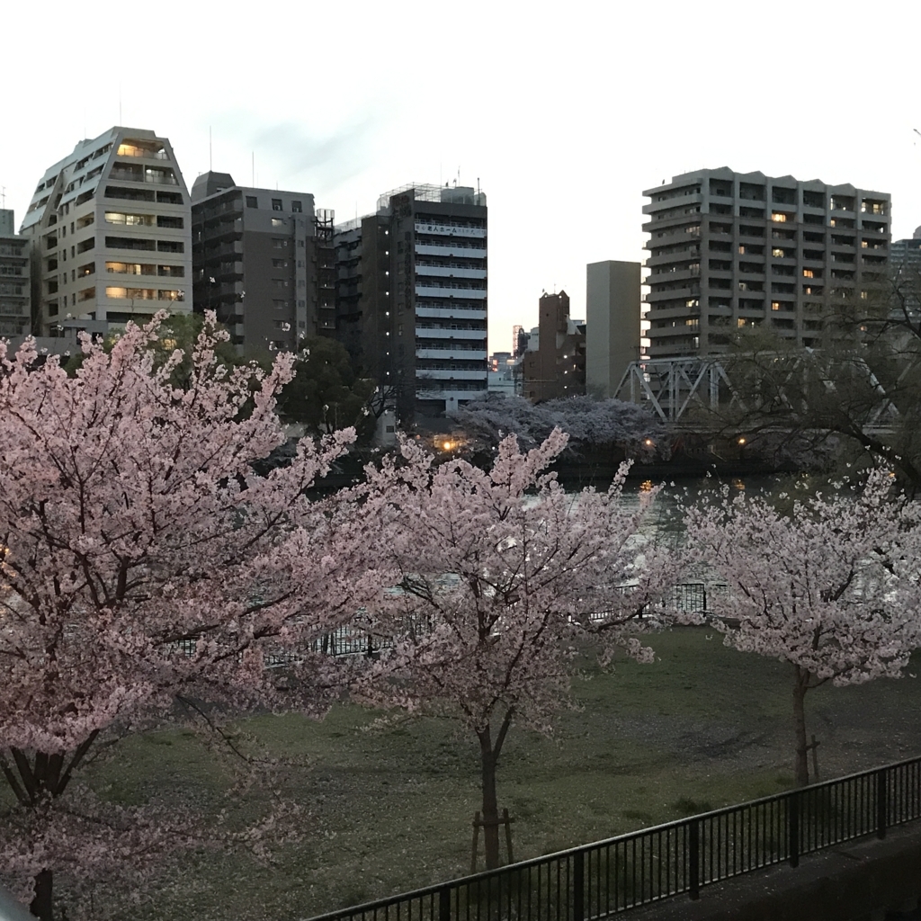 f:id:BUCCHAKE-TALK:20180413182316j:plain f:id:BUCCHAKE-TALK:20180413182316j:plain