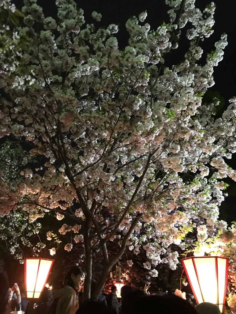 f:id:BUCCHAKE-TALK:20180413183034j:plain f:id:BUCCHAKE-TALK:20180413183034j:plain
