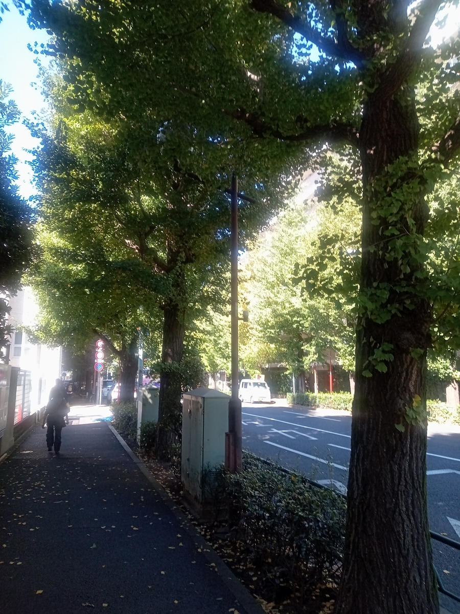 f:id:B_Manu:20211024125612j:plain