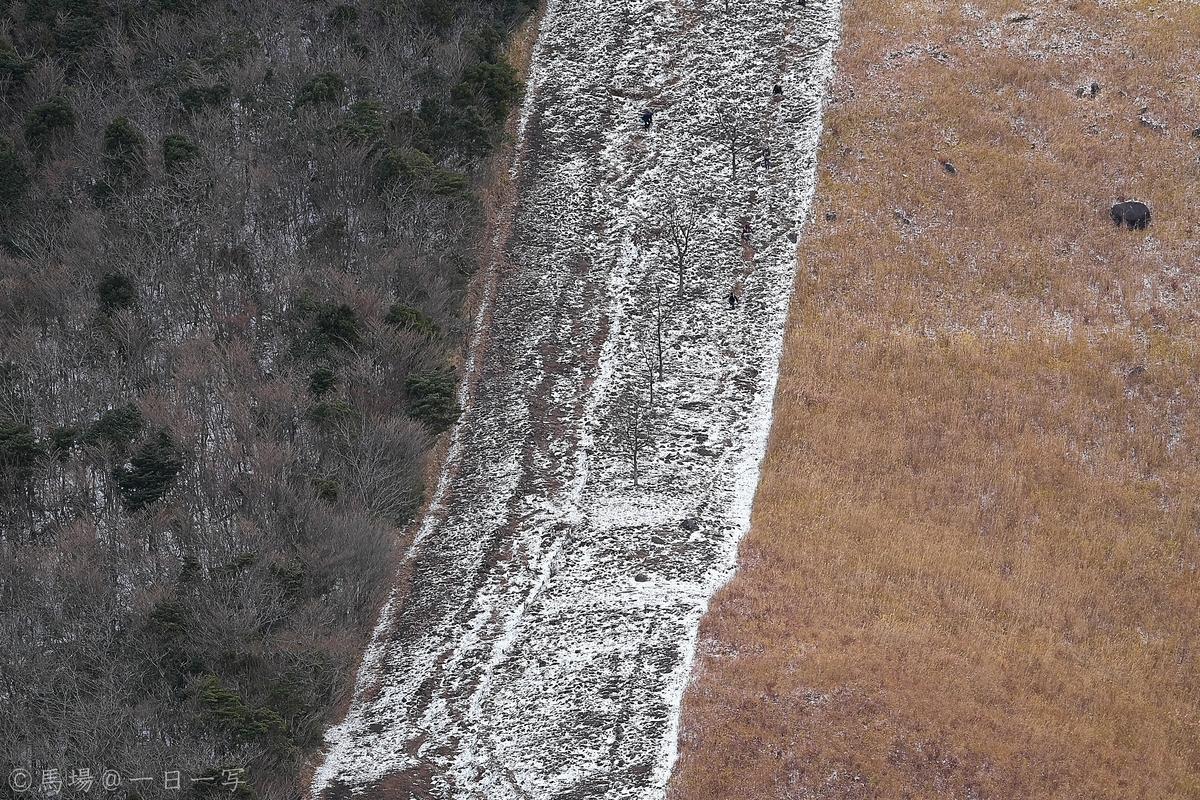 f:id:Ba2_Photography:20210104152856j:plain