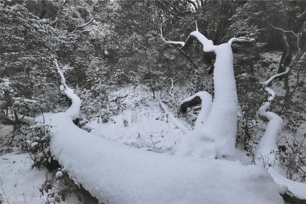 f:id:Ba2_Photography:20210110193844j:plain