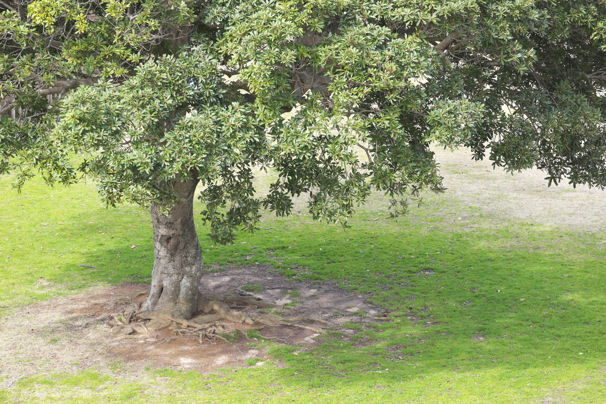 f:id:Ba2_Photography:20210228123644j:plain