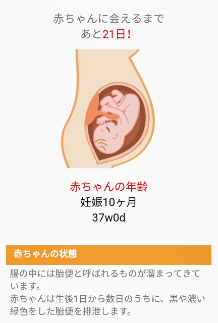 f:id:BabyFutoshi:20180919150256j:image f:id:BabyFutoshi:20180919150256j:image
