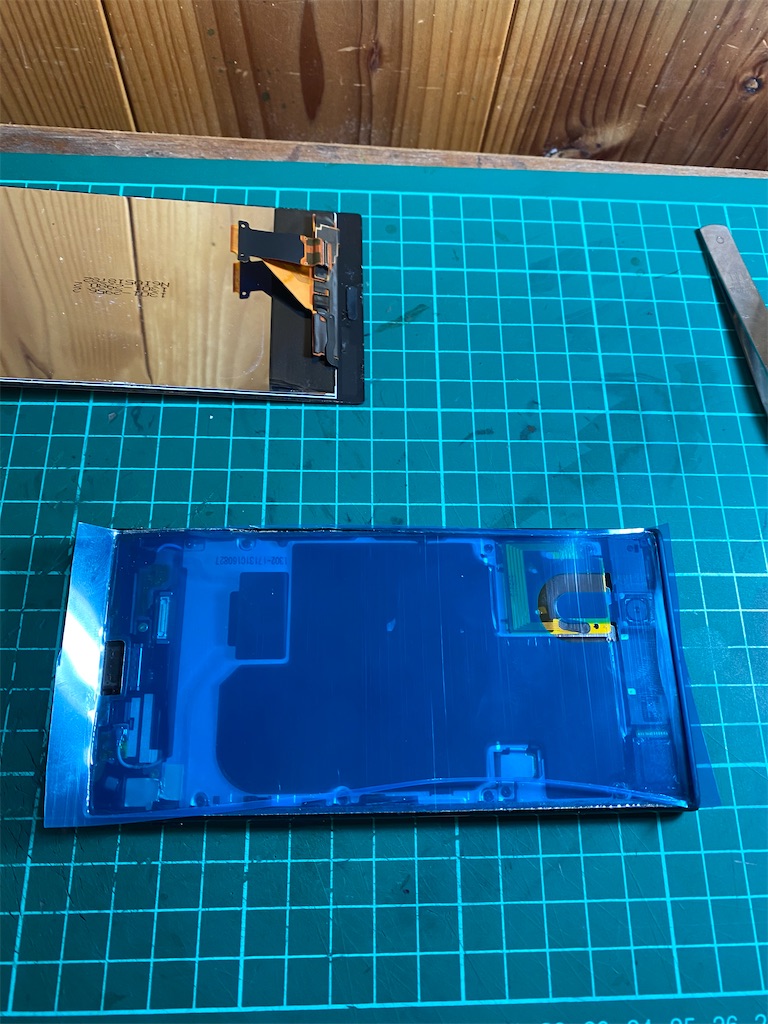 f:id:BabyMonkey88:20200222125129j:image f:id:BabyMonkey88:20200222125129j:image