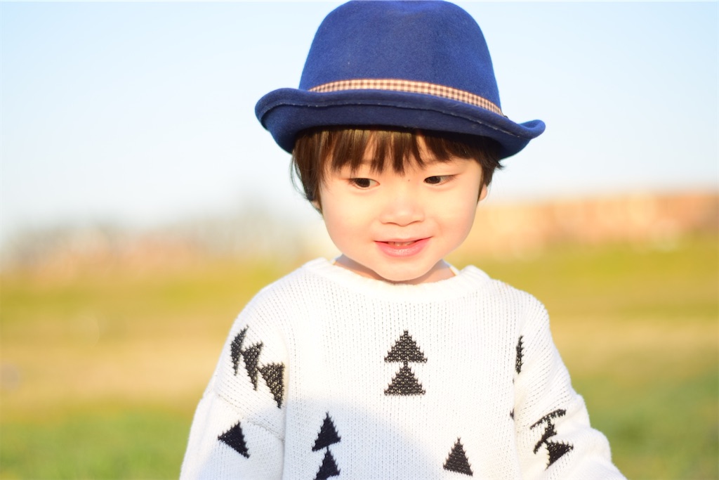 f:id:BabyMonkey88:20201009175320j:image