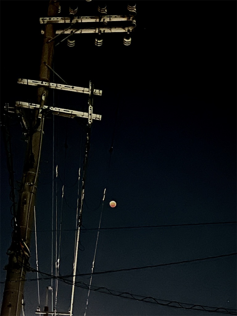 f:id:Bagel-room:20221111201139j:image