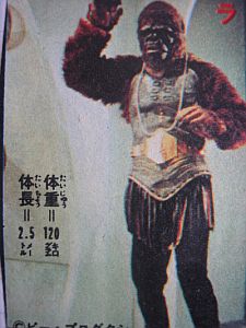 摩訶レコード 宇宙猿人ゴリなのだ 摩訶レコードブログ 摩訶レコード 宇宙猿人ゴリなのだ 摩訶レコードブログ
