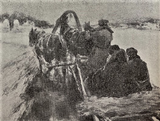 トルストイページ 61a3c+LZ2OL._AC_UF350,