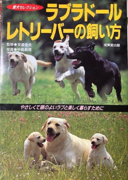 f:id:Balance1950:20211030064959j:plain