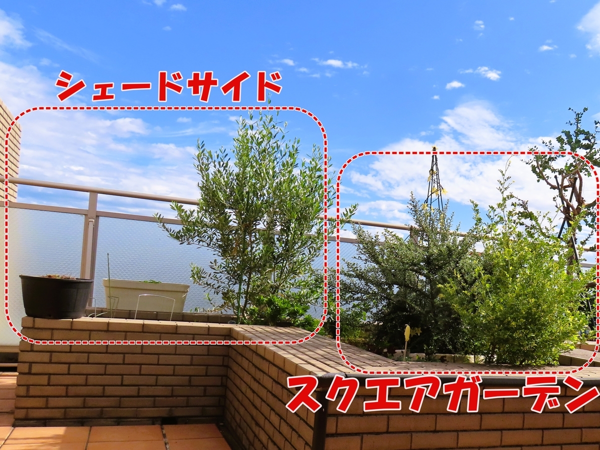 シェードサードのポジション画像
