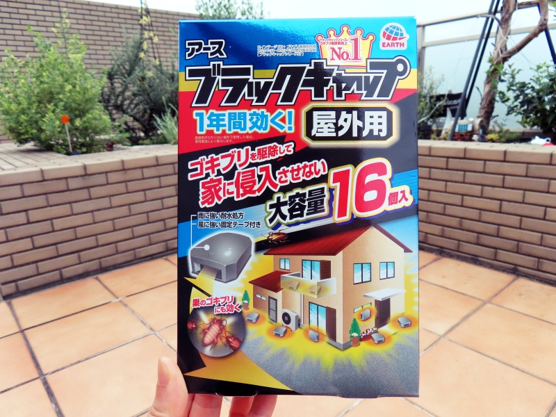 屋外用ブラックキャップ