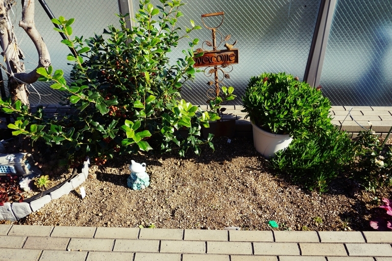 植え付け位置