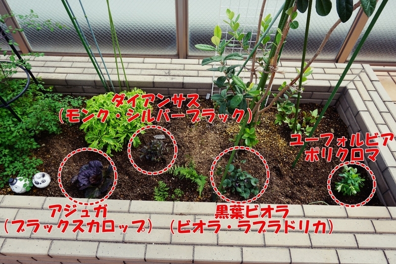 サウスラインAfter