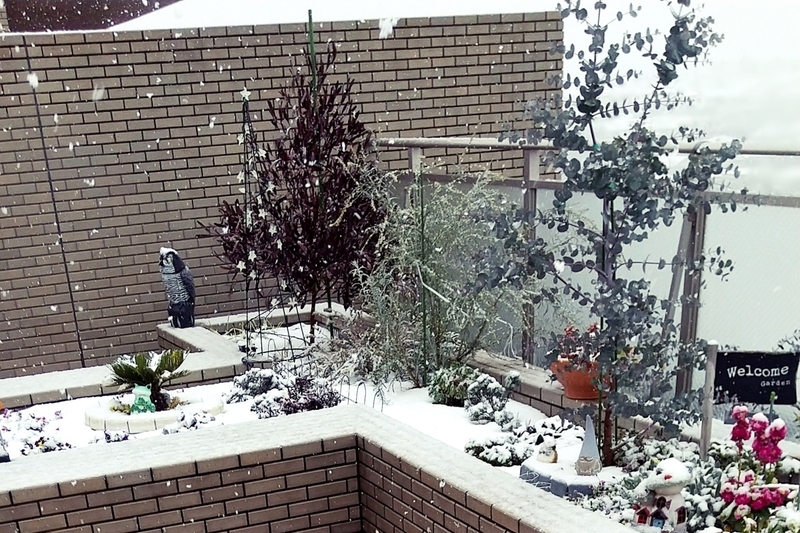 雪の日
