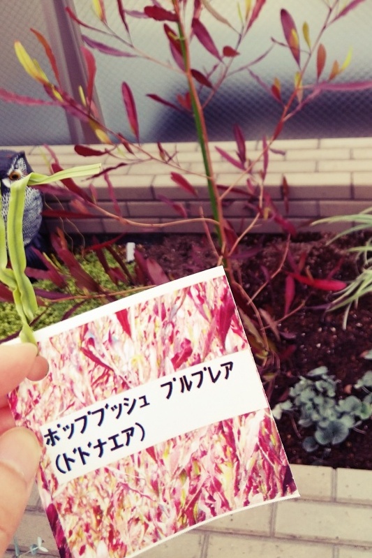 タグ