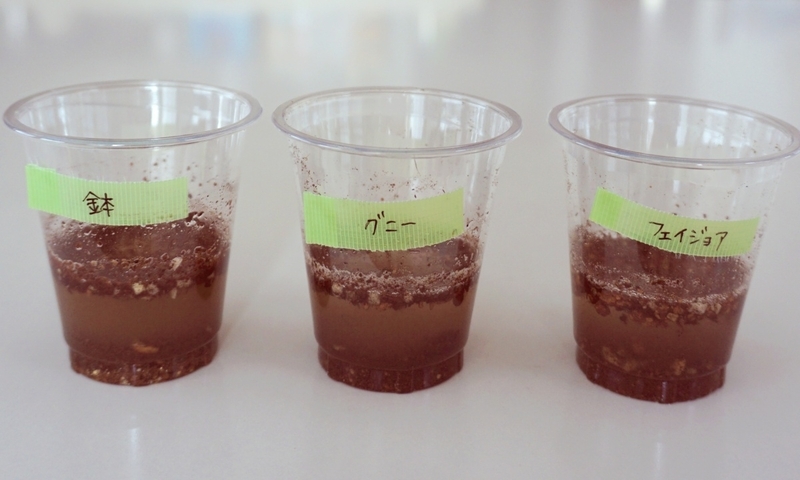 透明カップで土と水を混ぜている様子