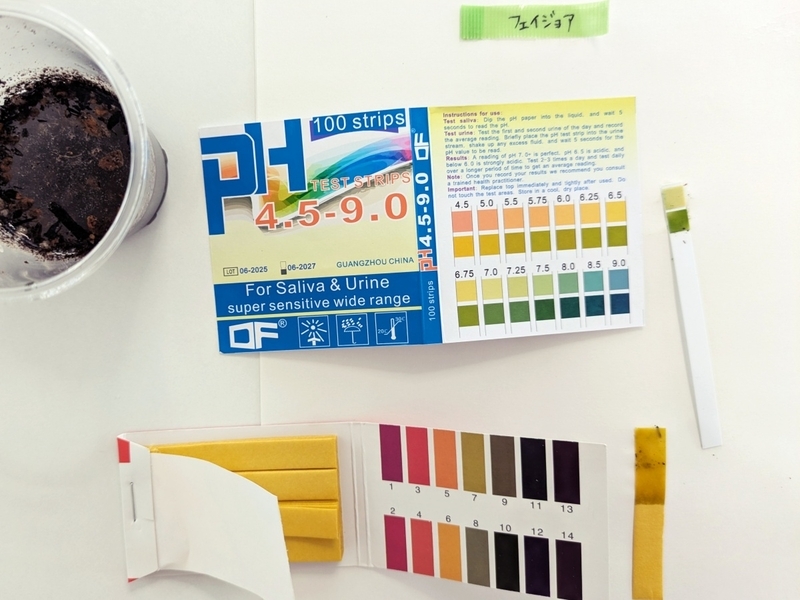 色見本と比較しpHを判定