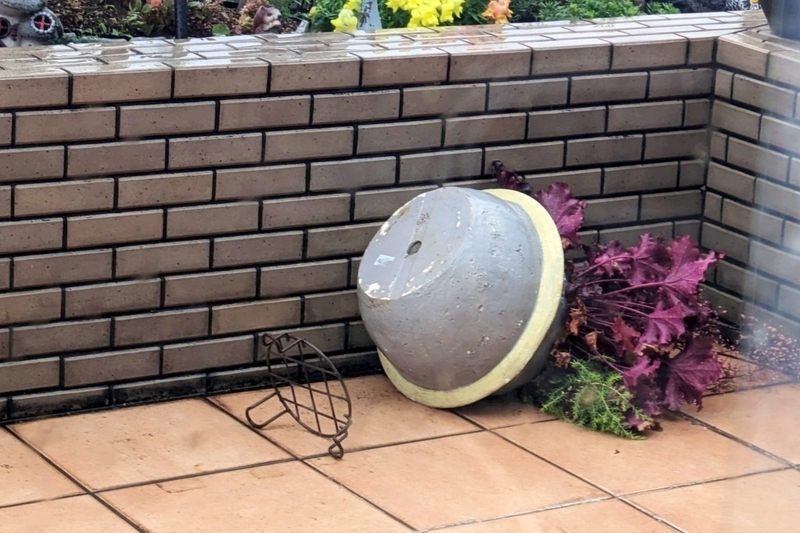強風 鉢 重くても倒れる