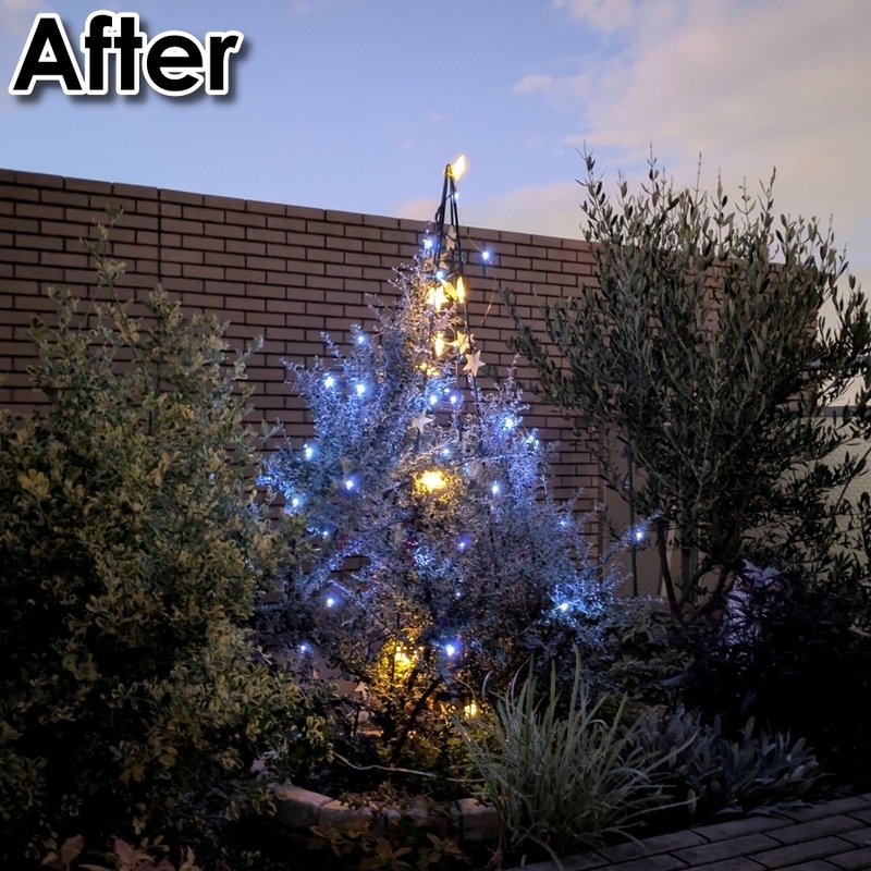 After:剪定後&青白系のライトを追加