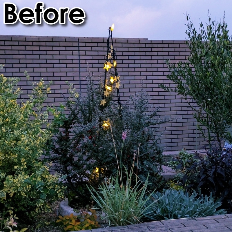 Before:剪定前&オレンジ系イルミのみ