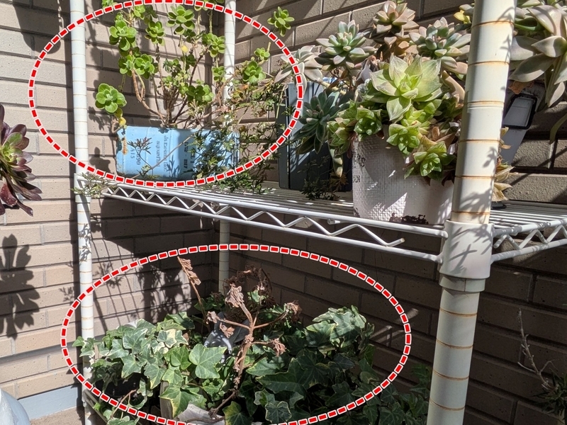 ベランダ植木鉢配置