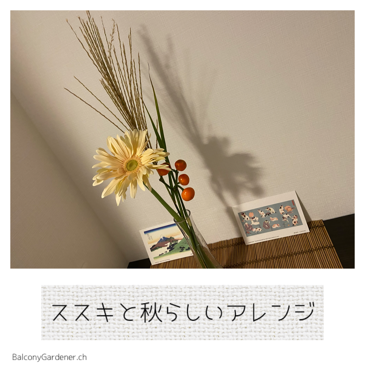 f:id:BalconyGardener:20200913162716p:plain f:id:BalconyGardener:20200913162716p:plain