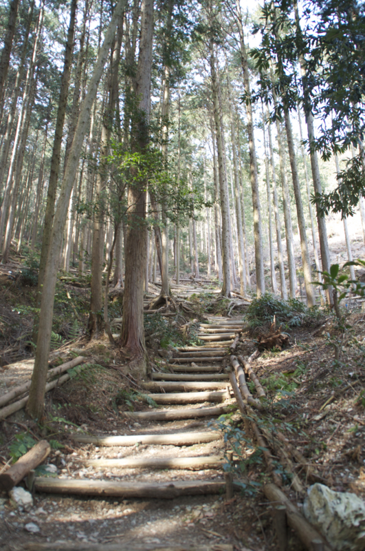 f:id:Bamapana:20130307132052j:image:w640