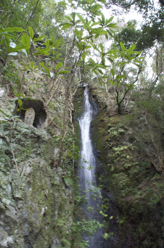 f:id:Bamapana:20130307154708j:image:w640