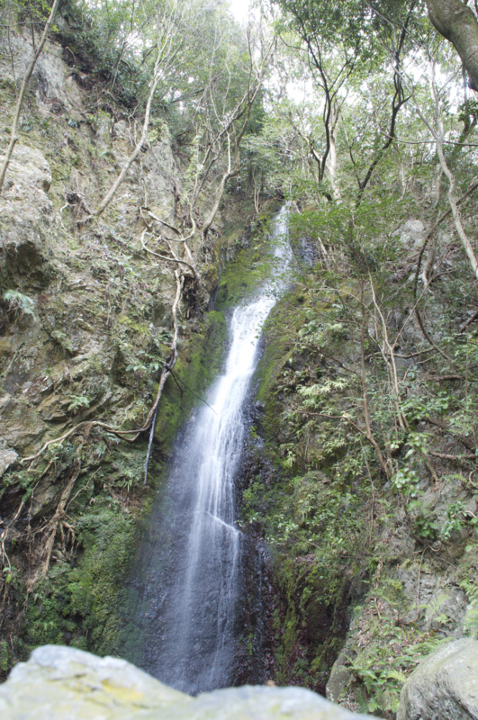 f:id:Bamapana:20130307154854j:image:w640