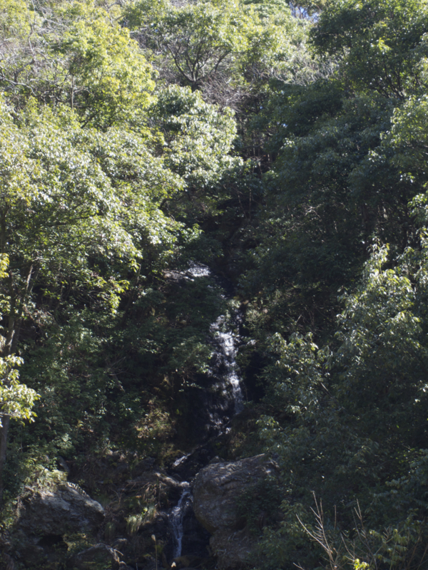 f:id:Bamapana:20130311105002j:image:w640