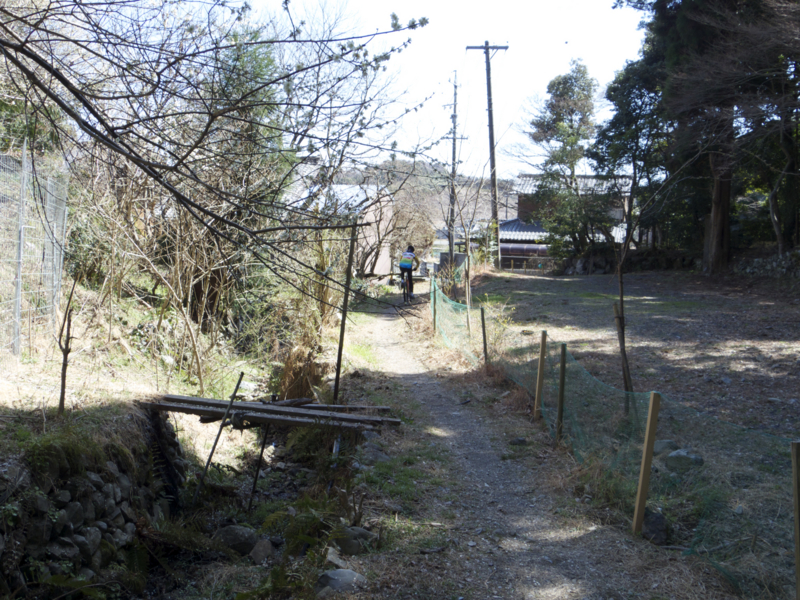 f:id:Bamapana:20130321124710j:image:w640