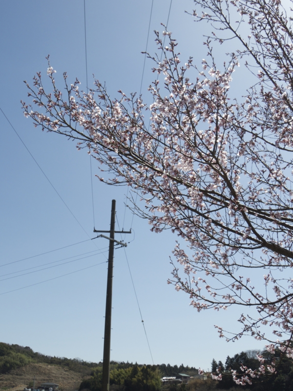 f:id:Bamapana:20130321124852j:image:w640