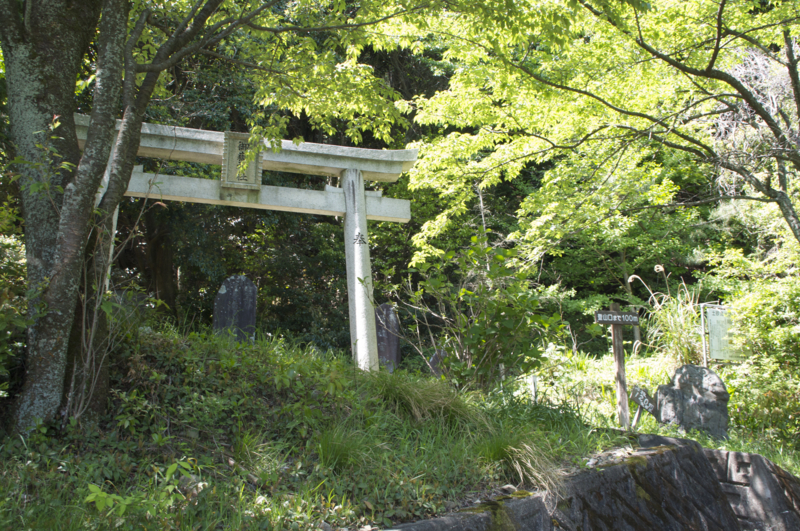 f:id:Bamapana:20130507104138j:image:w640