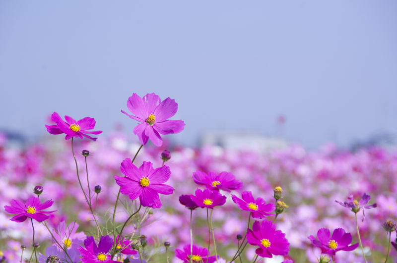 f:id:Bamapana:20131106094838j:image:w640 f:id:Bamapana:20131106094838j:image:w640