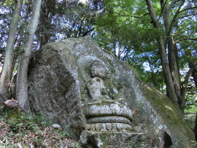 f:id:Bamapana:20140729124439j:image:w640 f:id:Bamapana:20140729124439j:image:w640