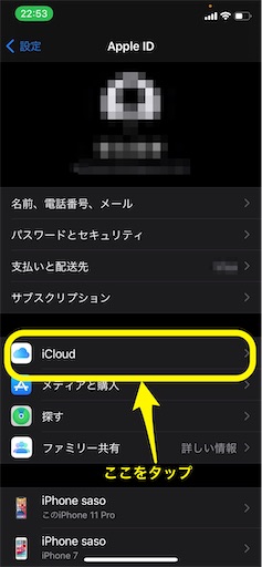 f:id:BambooBornY:20210318203403j:image f:id:BambooBornY:20210318203403j:image