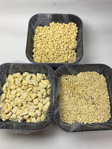 f:id:BambooBornY:20220327171602j:plain