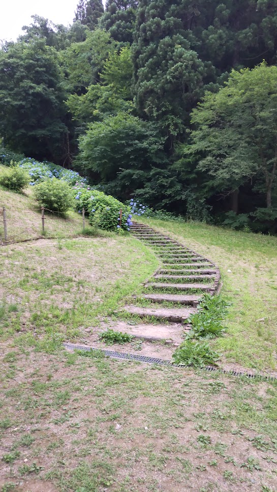 しらさぎ公園の画像