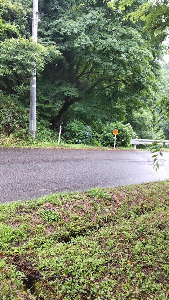 しらさぎ荘手前の道路の画像