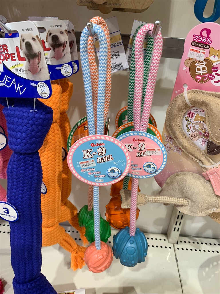 f:id:Baran_nexter:20200606163953j:image