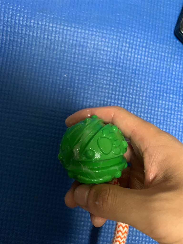 f:id:Baran_nexter:20200607022544j:image