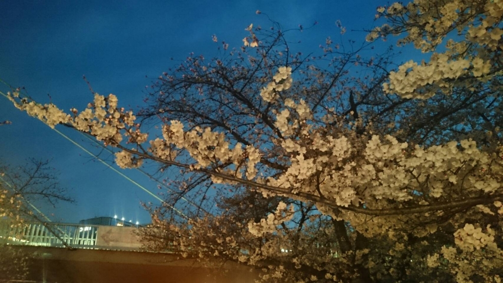 f:id:Barbalib120:20170420145502j:plain f:id:Barbalib120:20170420145502j:plain