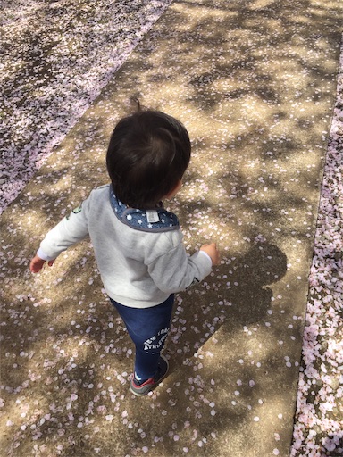 f:id:Barna:20190416201946j:image f:id:Barna:20190416201946j:image