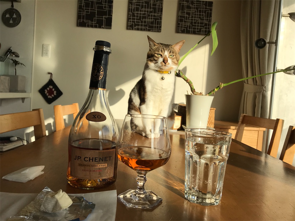 ブランデー紹介！JPシェネXOブランデー - じゃるるのブログ