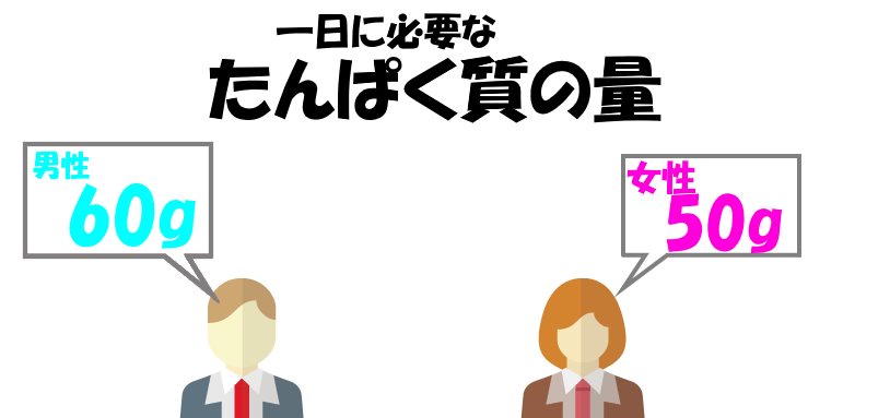 1日に必要なたんぱく質の量