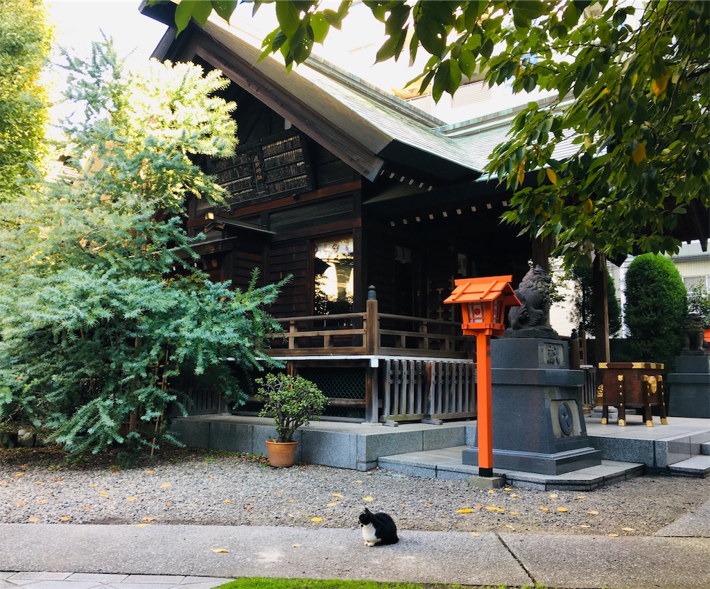 f:id:BaseBassBrass:20181119110421j:image