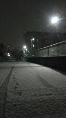 f:id:Battle_race:20120228232714j:image f:id:Battle_race:20120228232714j:image