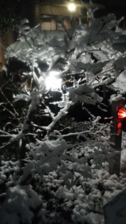 f:id:Battle_race:20120228232831j:image f:id:Battle_race:20120228232831j:image