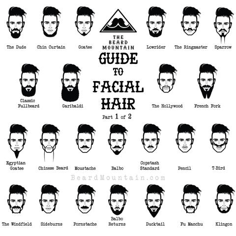 f:id:BeardTrimmerSellers:20180529205048j:plain