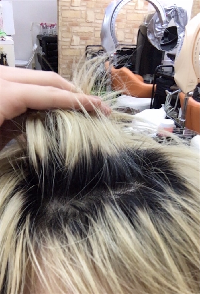 f:id:Beautician_boss:20170217224057j:image f:id:Beautician_boss:20170217224057j:image